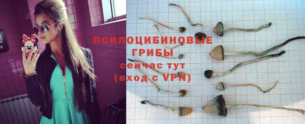 дживик Покачи