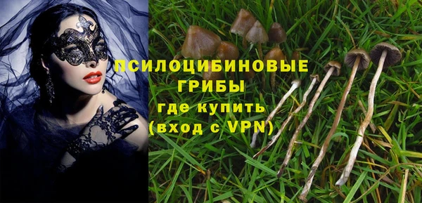 соль курить ск Верхний Тагил